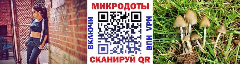 Галлюциногенные грибы ЛСД  Новохопёрск 